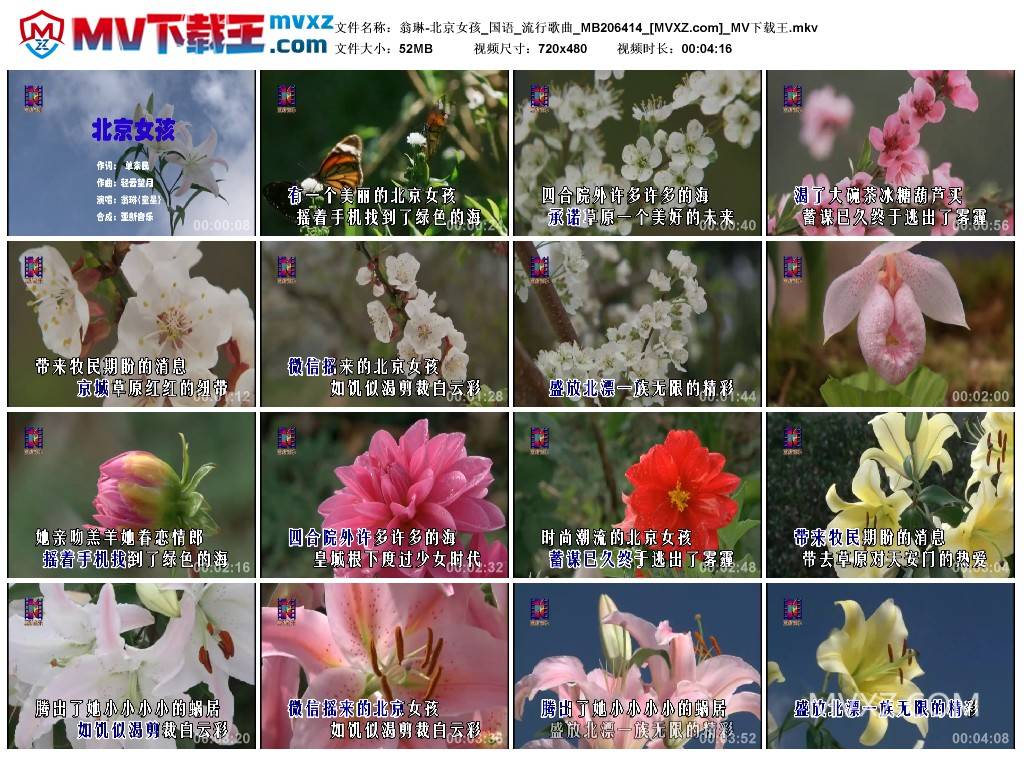 翁琳-北京女孩_国语_流行歌曲_MB206414